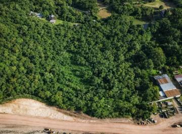 Terreno , Almirante Tamandaré · Imóvel com 20.000 m², situado em região estratégica de Almirante Tamandaré