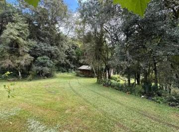 Rural , Campo Largo · Belíssima chácara à venda em Bateias – Campo Largo/PR