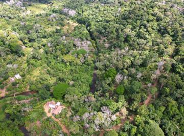 202607231525008629.jpg · Sítio 10,6 ha à venda perto de Ilhéus | Cacau e Rio Fortuna