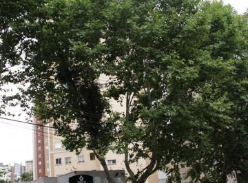 Apartamento · 165m² · 4 Quartos · 2 Vagas · Apartamento à venda - em Ahú