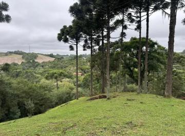 Rural , Campo Largo · Área à venda em Campo Largo/PR