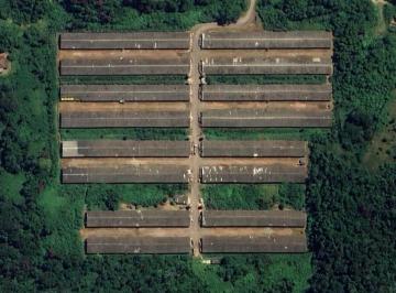 Rural , Rio Claro · Leilão Exclusivo - Granja Lídice - Rio Claro/RJ