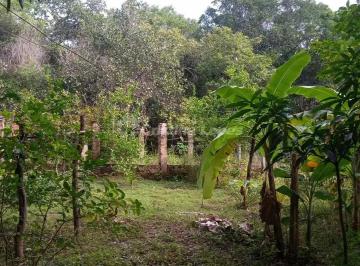 Imagem 1 · Fazenda para venda em Teresina