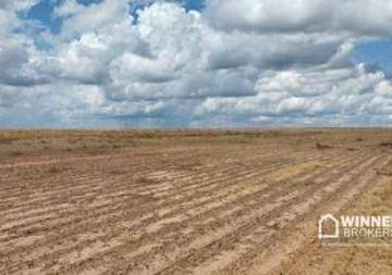 Imagem 1 · Fazenda para venda em Nova Maringá