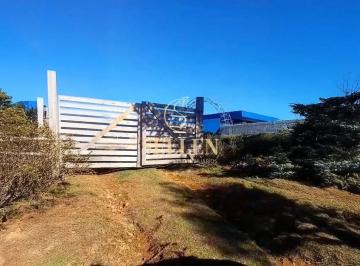 Imagem 2 · Fazenda para venda em Centro, São Joaquim