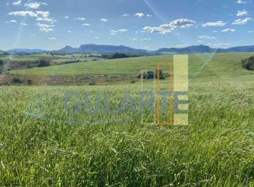 Imagem 1 · Fazenda para venda em Centro, Glorinha