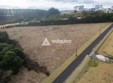 Imagem 2 · Sítio para venda em Boa Vista, Ponta Grossa