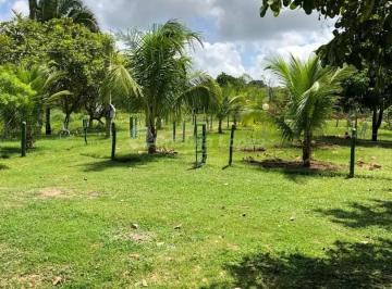 Imagem 3 · Sítio para venda em Nazária