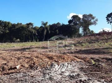 Imagem 1 · Chácara para venda em Centro, Campo Largo