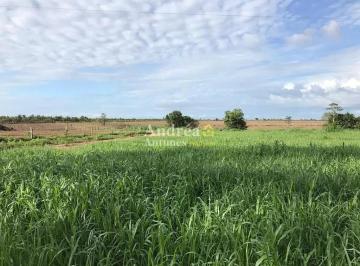 Imagem 2 · Fazenda para venda em Centro, Porto Alegre do Norte