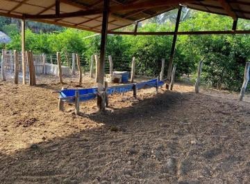 Imagem 2 · Fazenda para venda em Morro do Alecrim, Caxias