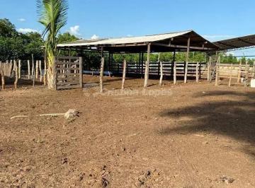 Imagem 1 · Fazenda para venda em Morro do Alecrim, Caxias