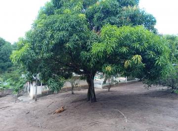 Imagem 2 · Chácara para venda em Centro, Conde