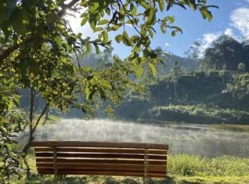 Imagem 1 · Sítio para venda em Centro, Nova Trento