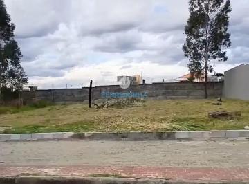 bd6nqjs5lll1781560736172.jpg · Terreno, 800 m² - venda por R$ 2.500.000 ou aluguel por R$ 5.000/mês - Urbanova