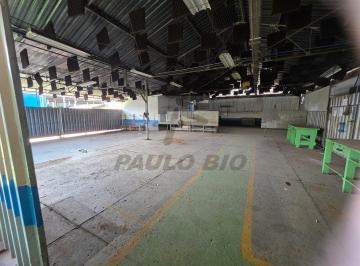 Comercial · 300000m² · Comercial para aluguel - no Parque Jaçatuba