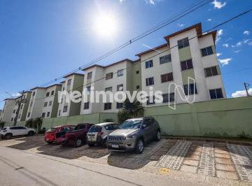 d9befbdd-1ad7-44f5-a3b6-257590971c10.webp · Apartamento 02 Quartos - Meio de Quadra - 01 Vaga - Lazer Completo - Rua 500