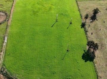 Rural de 2 quartos, Quadra · sITIO COM 2,8 ALQUEIRES, CASA, AÇUDES