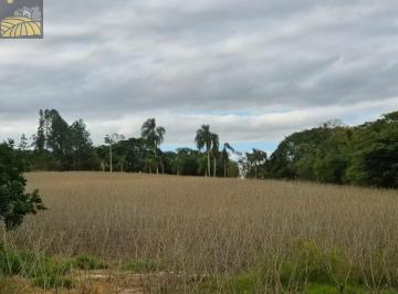 Foto 01 · Sitio, 7,3 Hectares - Oportunidade Para Produção E Lazer, Sarapuí, SP