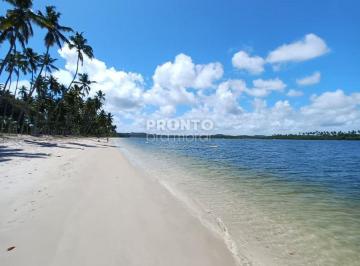 Apartamento de 1 quarto, Tamandaré · Apartamento 1 Quarto | Praia dos Carneiros | Varanda Gourmet | 36m² | Lazer Completo