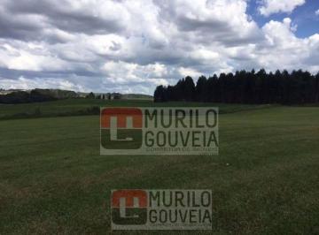 Terreno · 58000m² · Terreno, à Venda por R$ 14.000.000,00 - Eucaliptos, Fazenda Rio Grande (Pr)