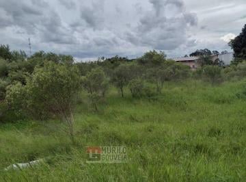 Terreno · 15000m² · Terreno, à Venda por R$ 11.200.000,00 - Eucaliptos, Fazenda Rio Grande (Pr)