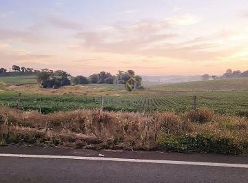 Logística impecável: fazenda localizada na beira do asfalto e a apenas 12 km do centro urbano de Itapuranga - GO, facilitando o escoamento de safras. · Fazenda 37 Alqueires Venda em Itapuranga GO - Dupla Aptidão