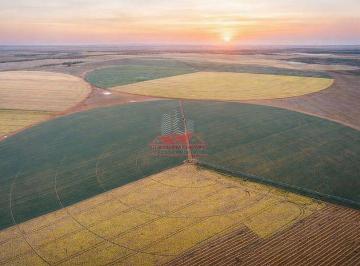 Panorama completo da propriedade de 427 hectares em topografia plana e favorável. · Fazenda Irrigada à Venda em Cristalina GO | 427 Hectares