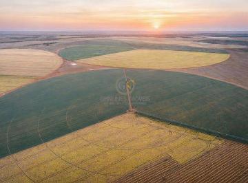 Panorama completo da propriedade de 427 hectares em topografia plana e favorável. · Fazenda Irrigada à Venda em Cristalina GO | 427 Hectares