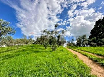 Terreno · 46222m² · VENDO TERRENO 42.222 m² Senador Amaral MG -SUL DE MINAS GERAIS