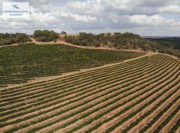 Rural · FAZENDA COM 1.670 HECTARES EM PRESIDENTE OLEGÁRIO – DUPLA APTIDÃO e RENDA IMEDIA