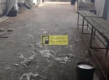 Comercial 1200m² Aluguel Parque Industrial Tancredo Neves · Galpão / Depósito / Armazém para alugar em Parque Industrial Tancredo Neves de 1200.00m²