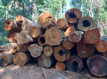 Imagem 1 · Fazenda para venda em Centro, Brasnorte