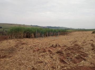 Imagem 1 · Fazenda para venda em Centro, Batatais