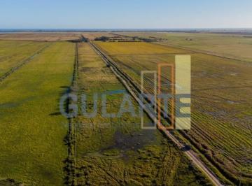 Imagem 1 · Fazenda para venda em São José do Norte