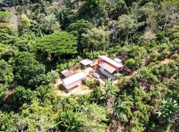Imagem 1 · Sítio para venda em Área Rural de Ilhéus, Ilhéus