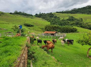Rural de 2 quartos, Munhoz · FAZENDA A VENDA EM MUNHOZ/MG COM 45 ALQUEIRES EM PASTOS LIVRE DIVISA COM SOCORRO/SP