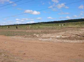 Terreno · 4000m² · Terreno para venda em Primavera de 4000.00m²