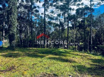 Terreno · 2320m² · Lote em Rua Dia Manacas - Serra Alta - São Francisco de Paula/RS