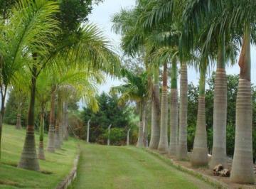 Imagem 1 · Chácara para venda em Guamirim, Caçapava