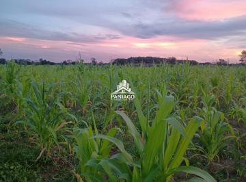 Imagem 1 · Sítio para venda em Área Rural de Cuiabá, Cuiabá