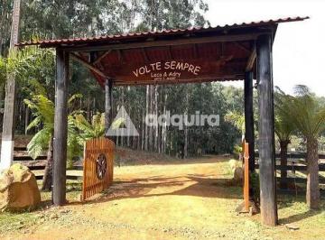 Imagem 1 · Fazenda para venda em Centro, Prudentópolis