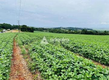 Imagem 1 · Fazenda para venda em Colônia Dona Luíza, Ponta Grossa