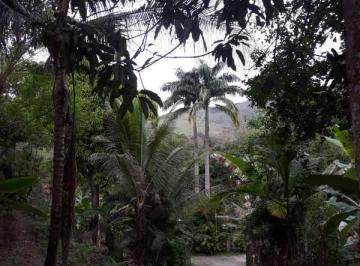Imagem 1 · Sítio para venda em Centro, Mariana