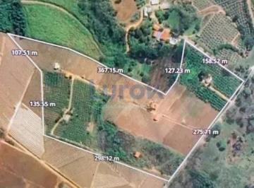Imagem 1 · Sítio para venda em Macuco, Valinhos