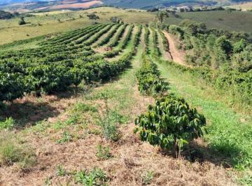 Imagem 1 · Fazenda para venda em Centro, Lambari