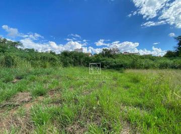 Imagem 1 · Terreno para venda em São Sebastião, Igarapé