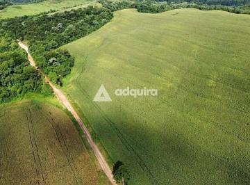 Imagem 1 · Fazenda para venda em Centro, Castro
