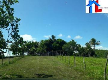 Imagem 1 · Fazenda para venda em Centro, Itanagra