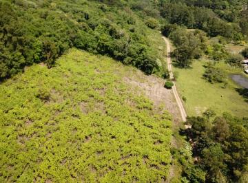 Imagem 1 · Chácara para venda em Kayser, Caxias do Sul